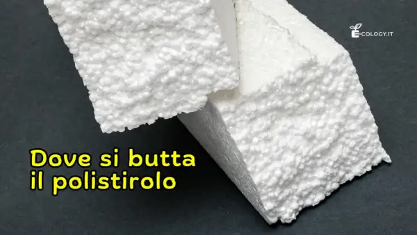 Pezzi di polistirolo bianco su sfondo scuro. La domanda "Dove si butta il polistirolo" è scritta in giallo.
