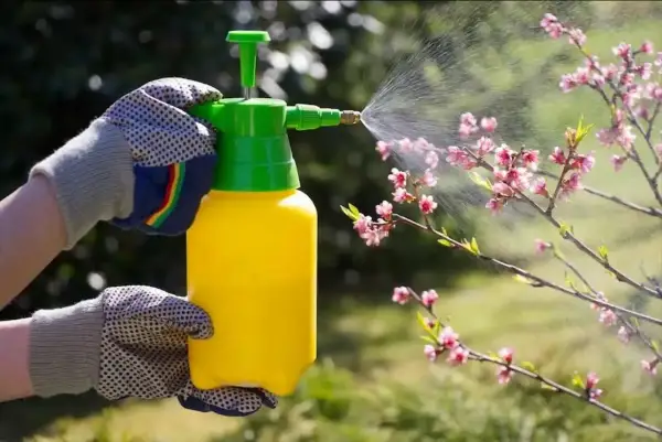 Mani guantate spruzzano un diserbante naturale fatto in casa, dimostrando che il diserbante aceto e sale funziona per prendersi cura del giardino.