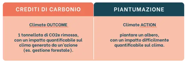 Crediti di carbonio: 1 tonnellata di CO2e rimossa, impatto quantificabile. Piantumazione: albero, impatto difficilmente quantificabile.